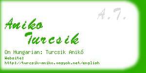 aniko turcsik business card